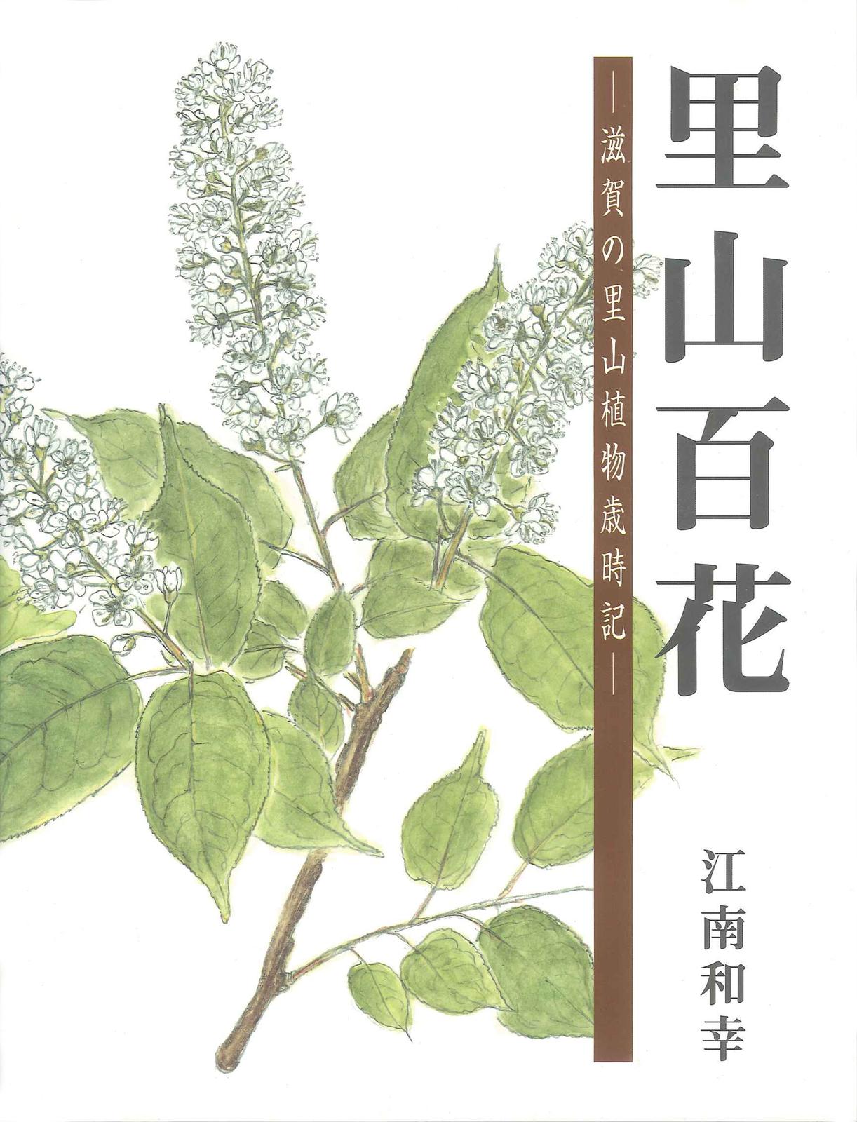 書影