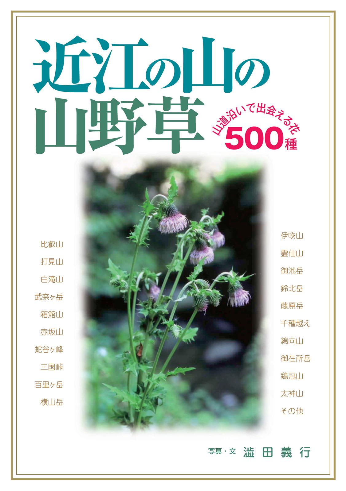 書影