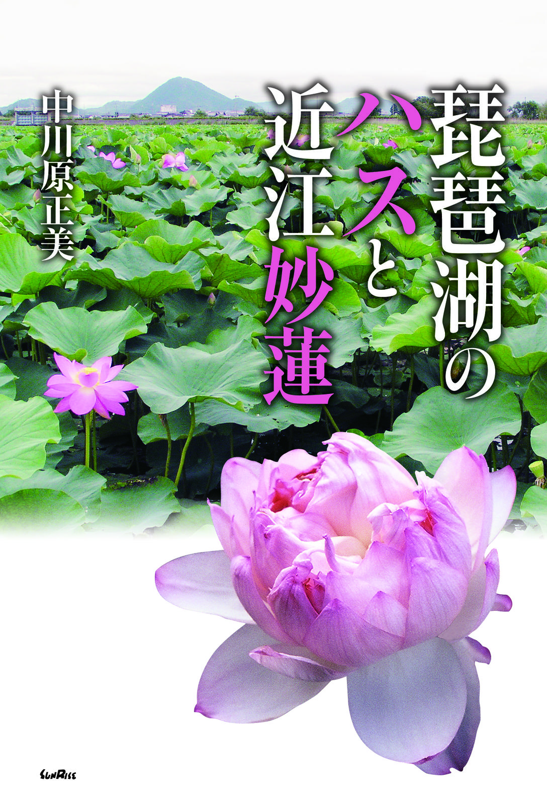 書影