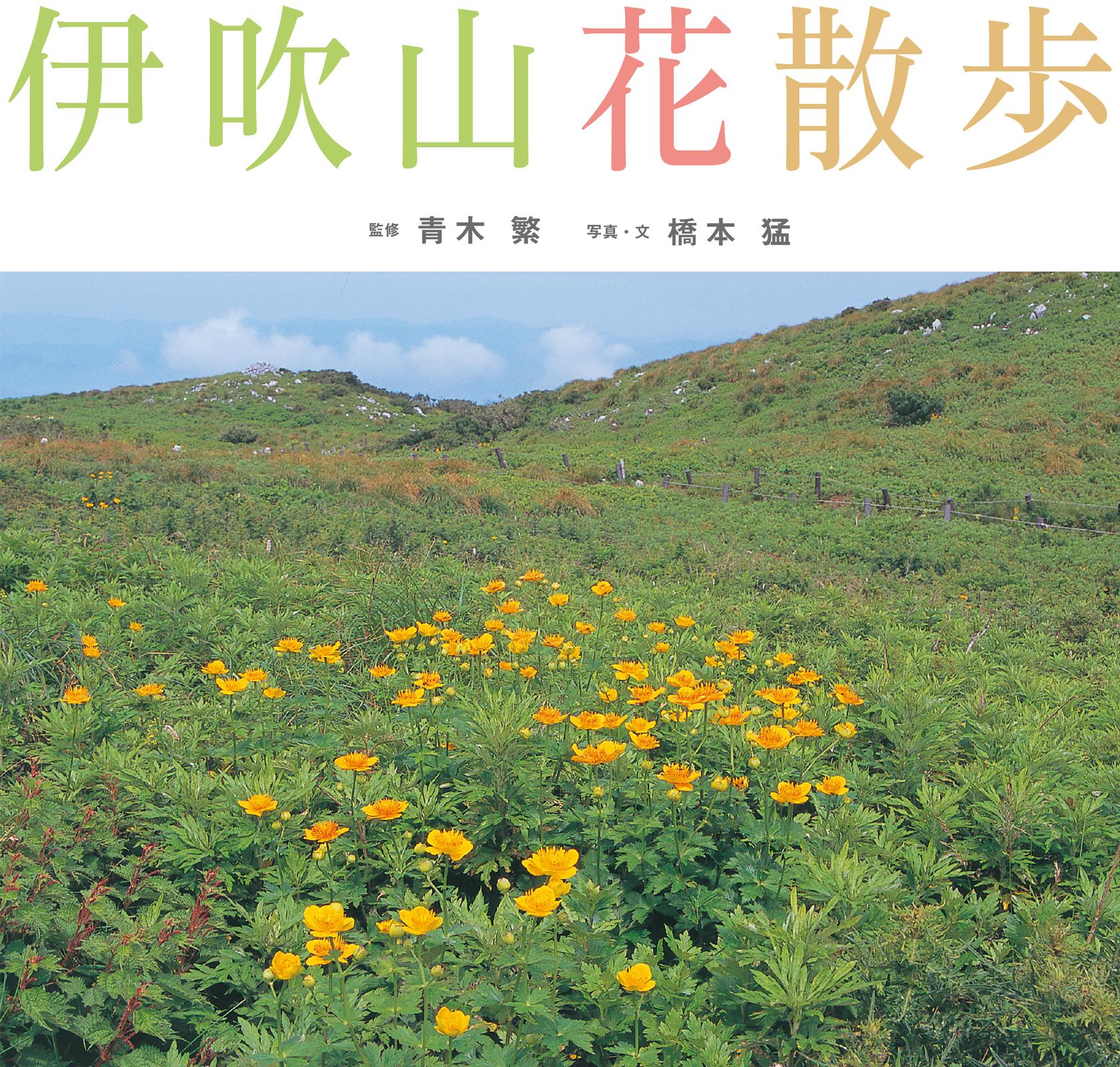 書影