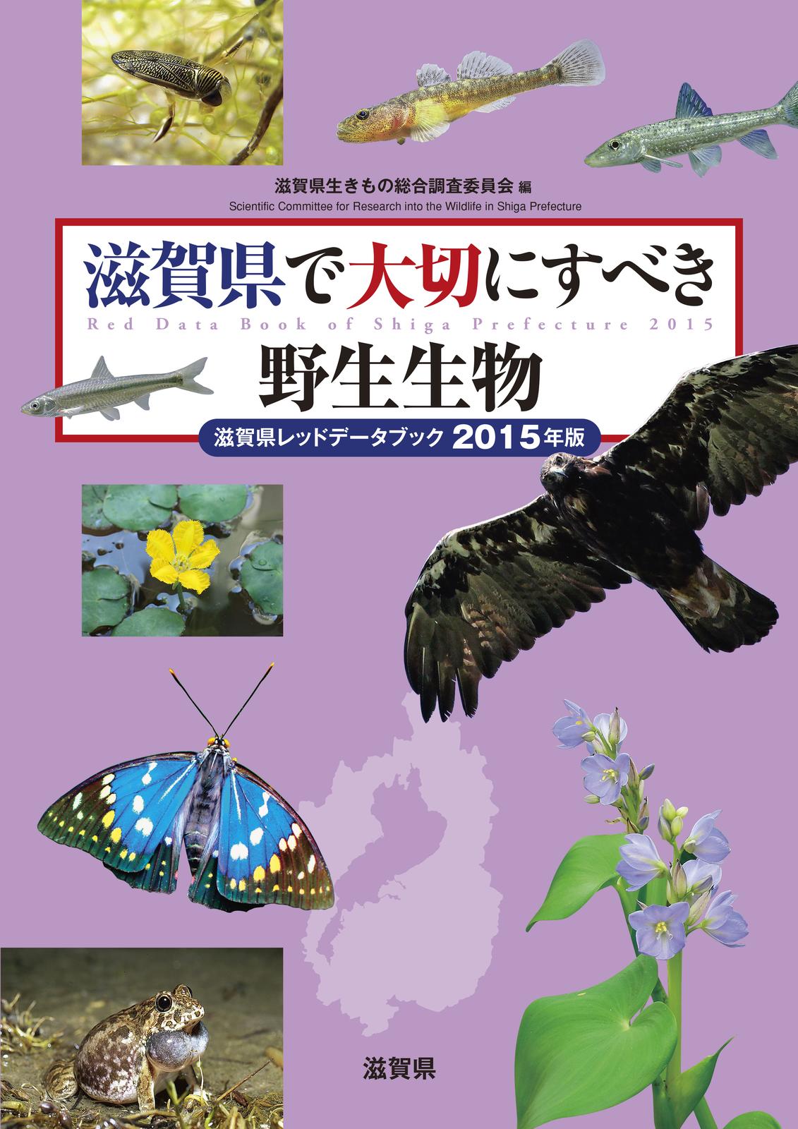 書影