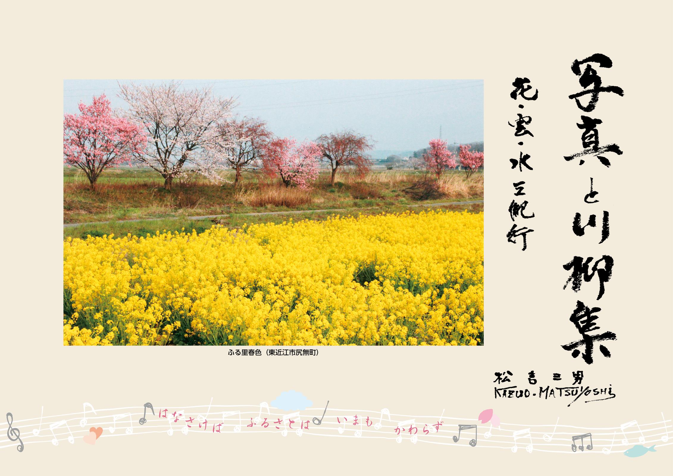 書影