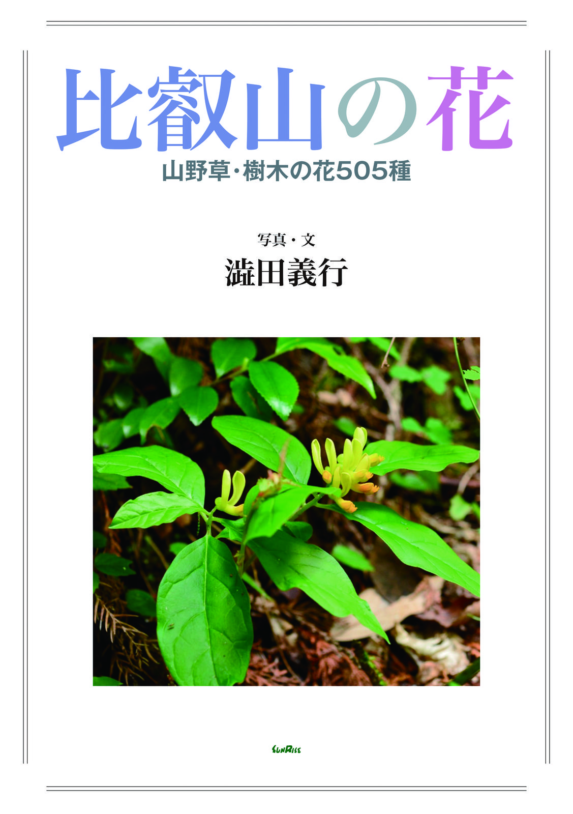 書影