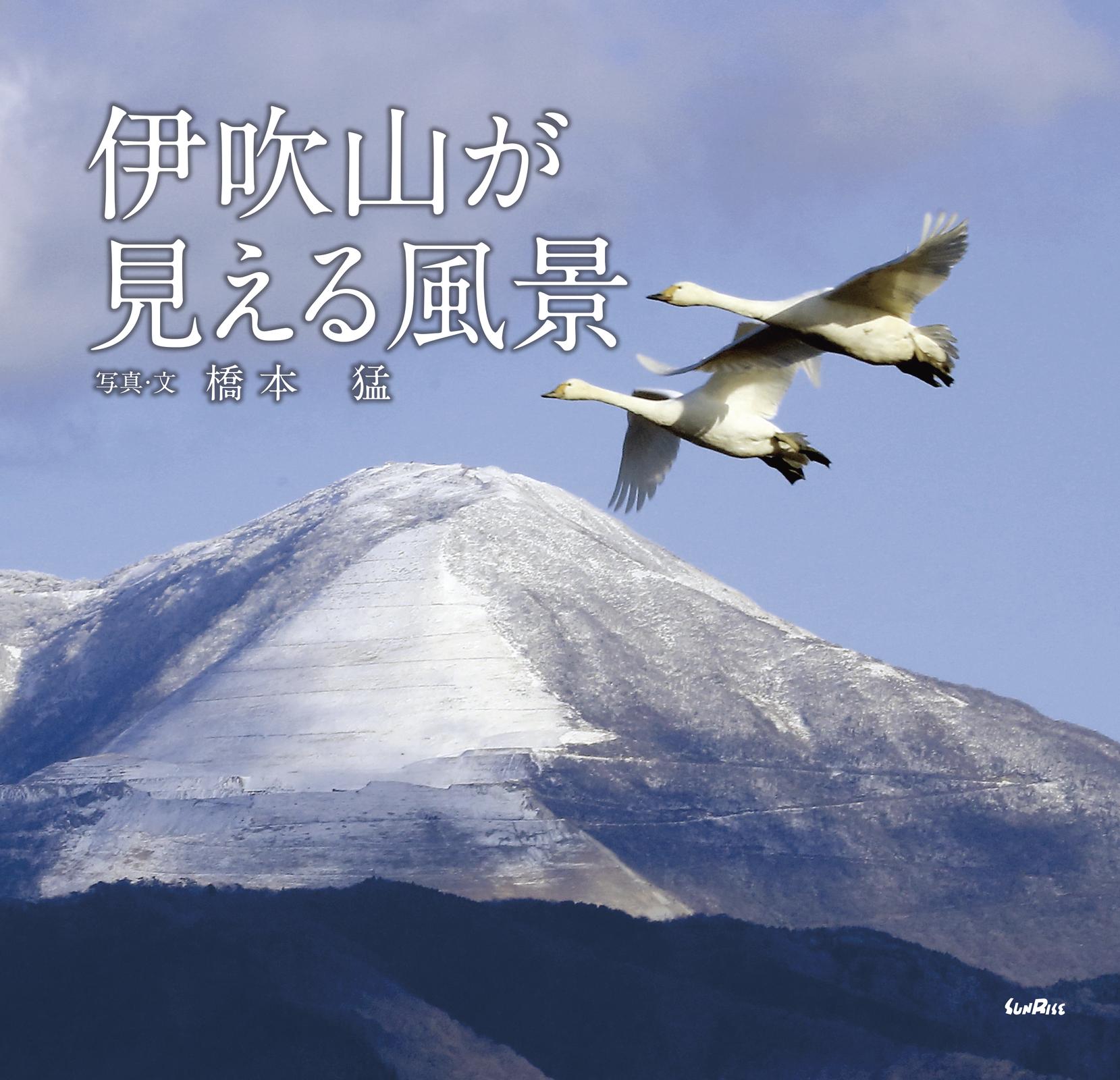 書影