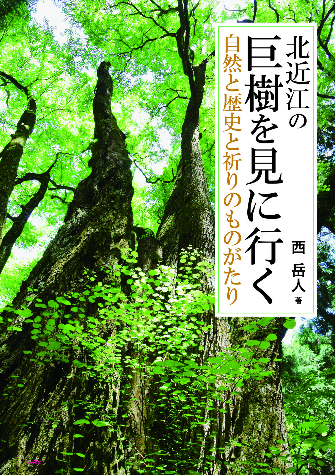 書影