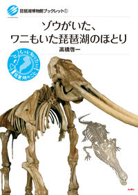 書影