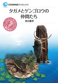 書影
